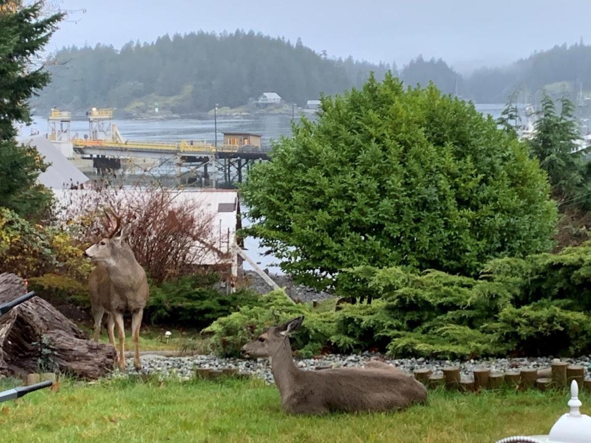 High Point Resort Quathiaski Cove エクステリア 写真